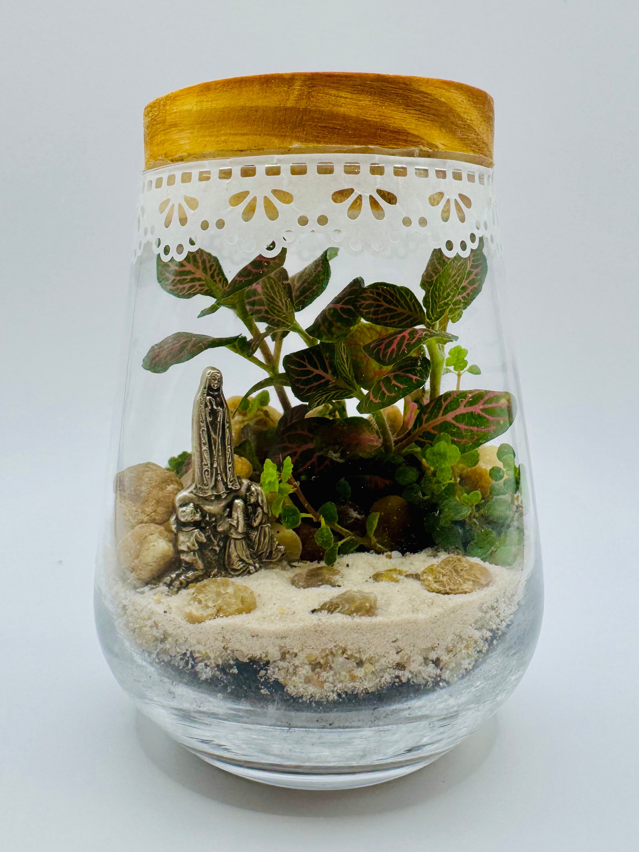 Terrário Nostra Signora