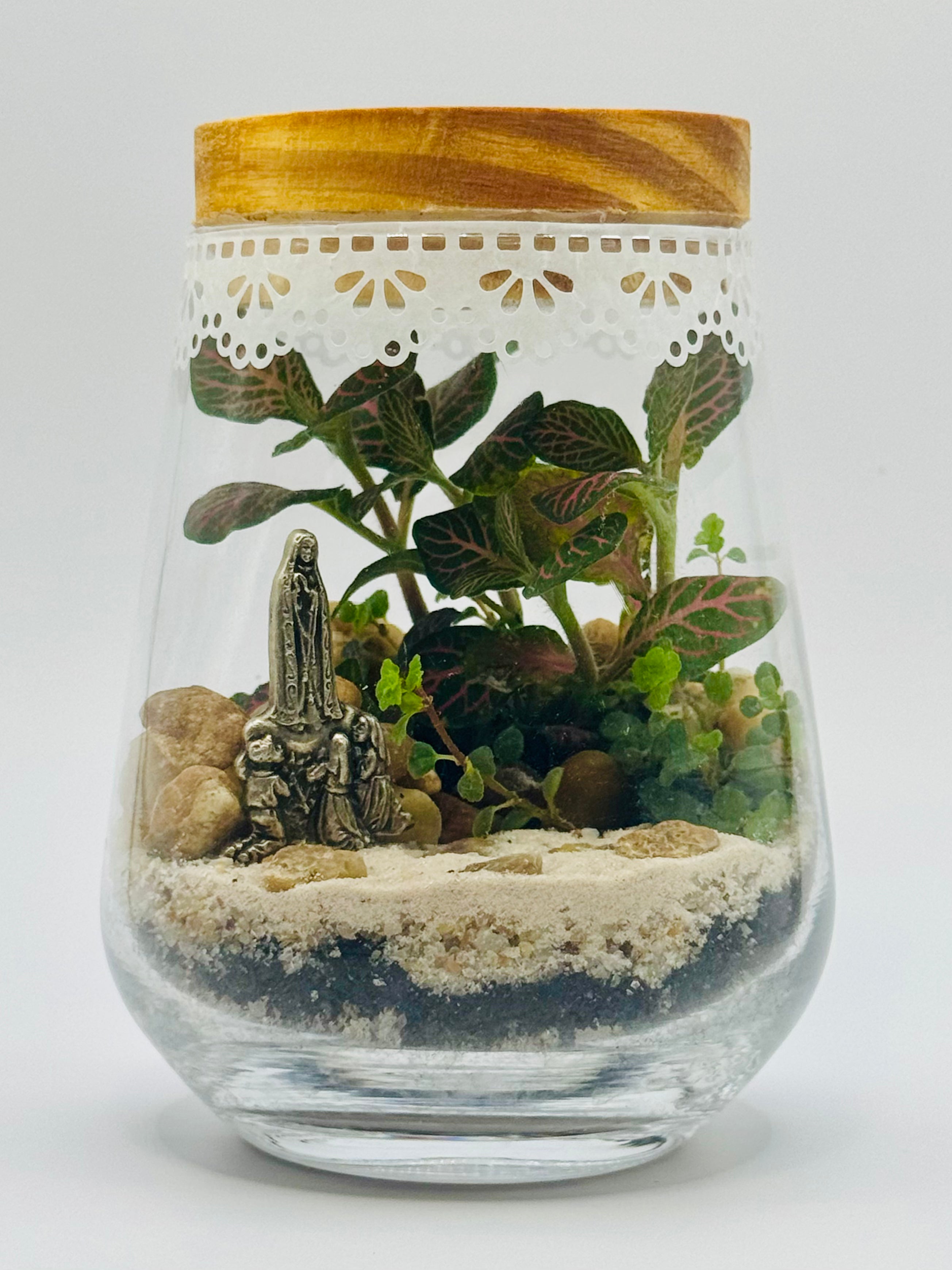 Terrário Nostra Signora