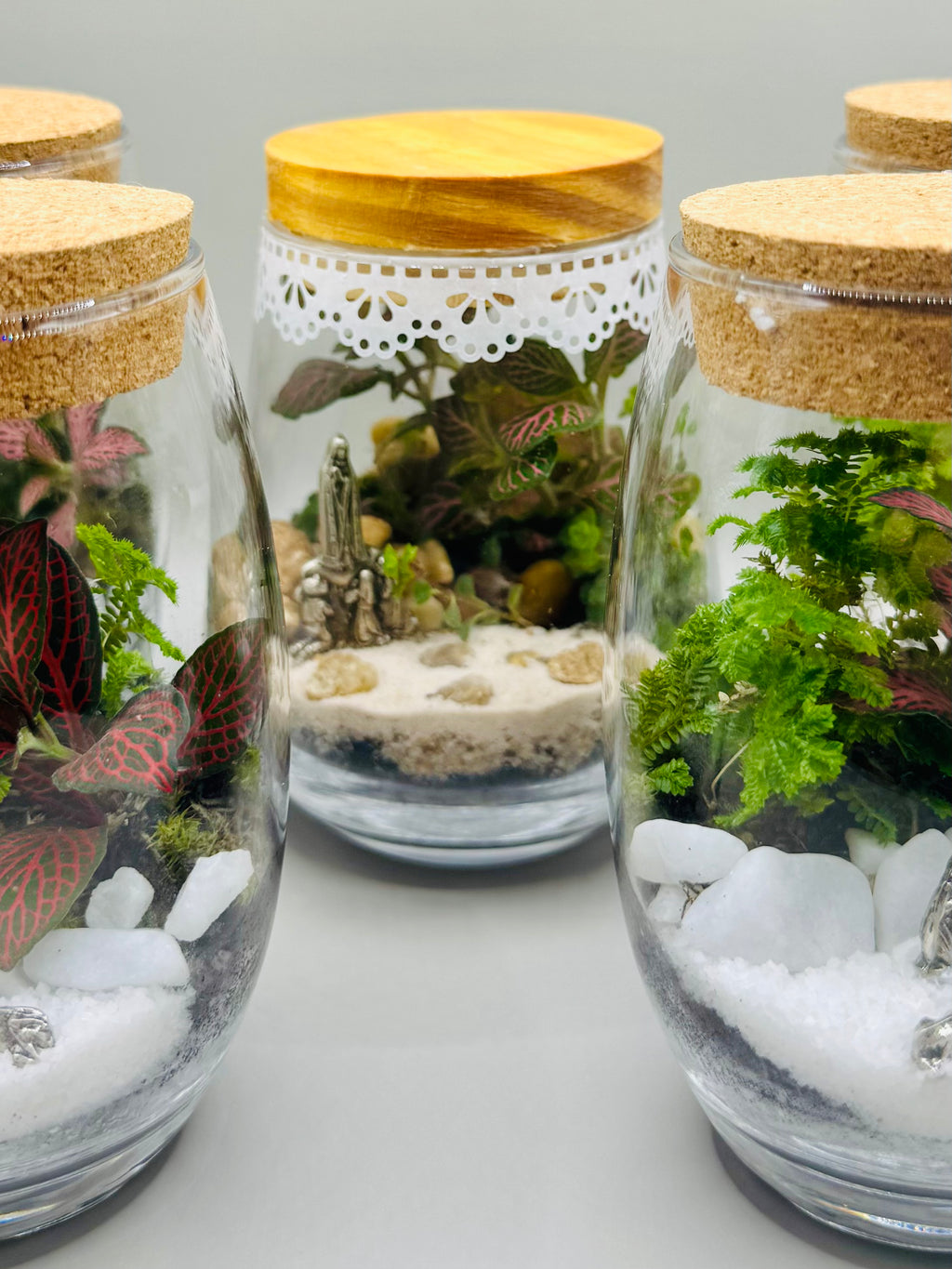 Terrário Nostra Signora