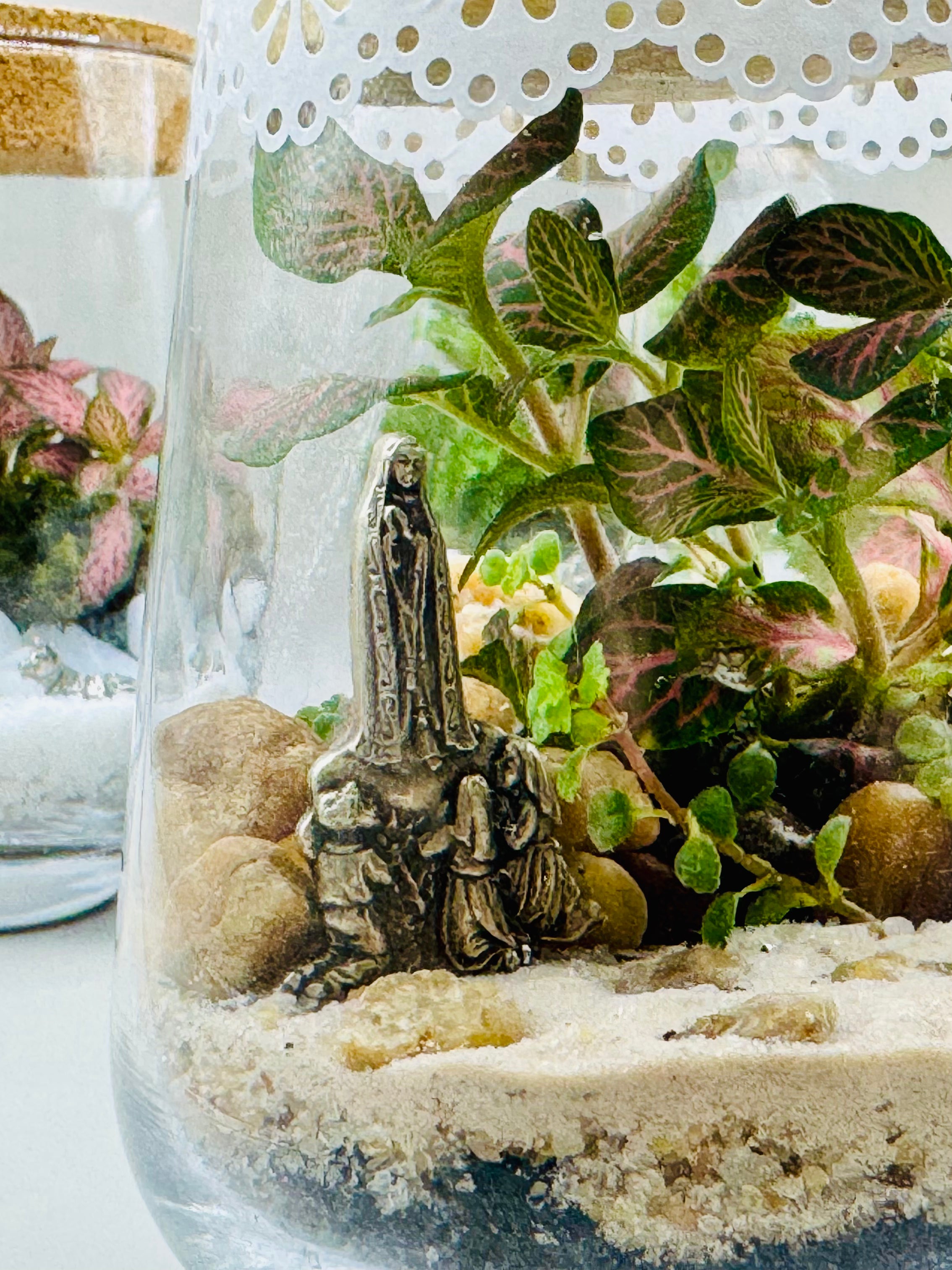 Terrário Nostra Signora